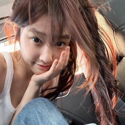 狗果定理 在线观看